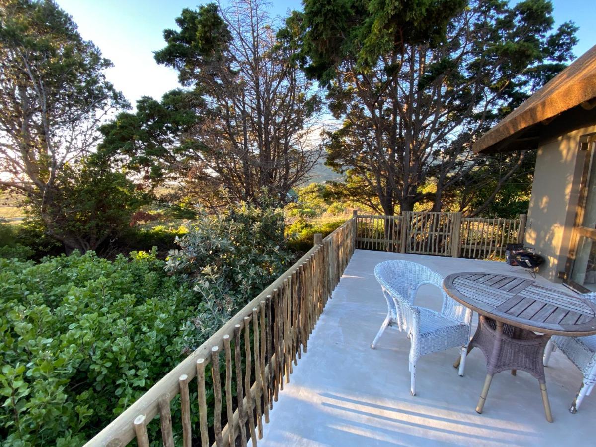 Wild Rose Country Lodge Noordhoek Exterior photo